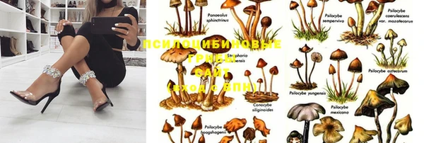 наркотики Алексин