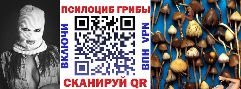 Псилоцибиновые грибы мицелий  Глазов 